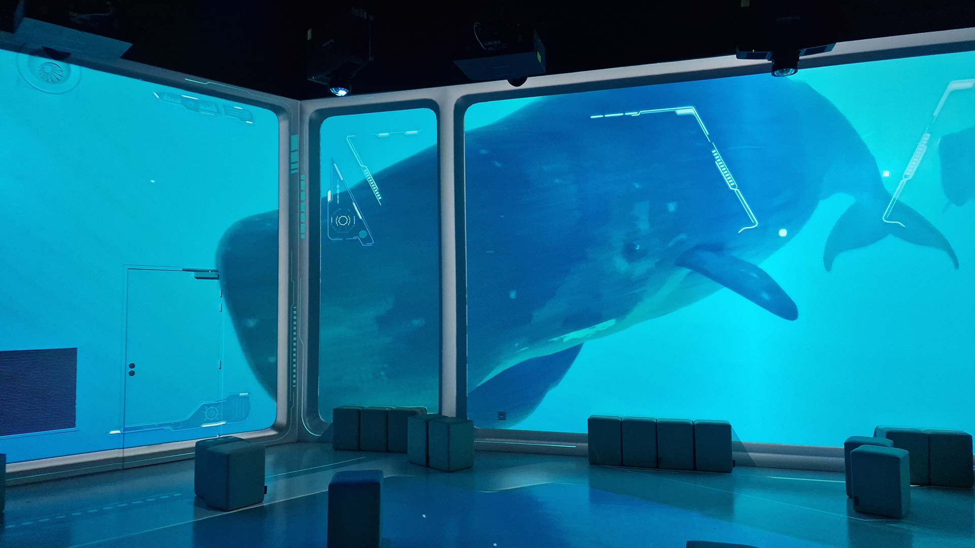 360-degree sperm whale projection across multiple walls in the Ocean 360 room at Aquarium de Lyon, France