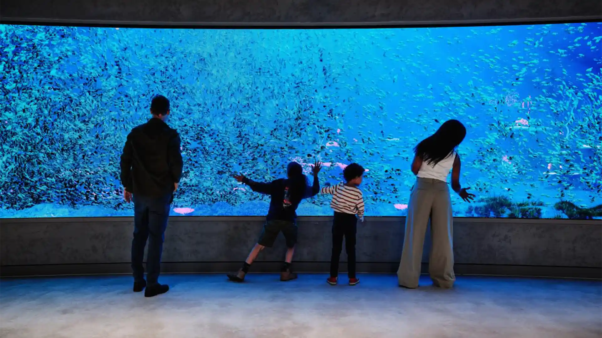 Besucher interagieren mit den digitalen Installationen von Fulham Regatta und Submerge.